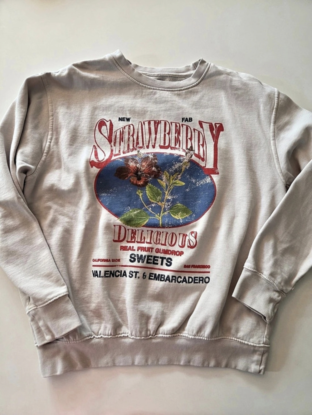 Urban Outfitters Strawberry Pullover Sweatshirt